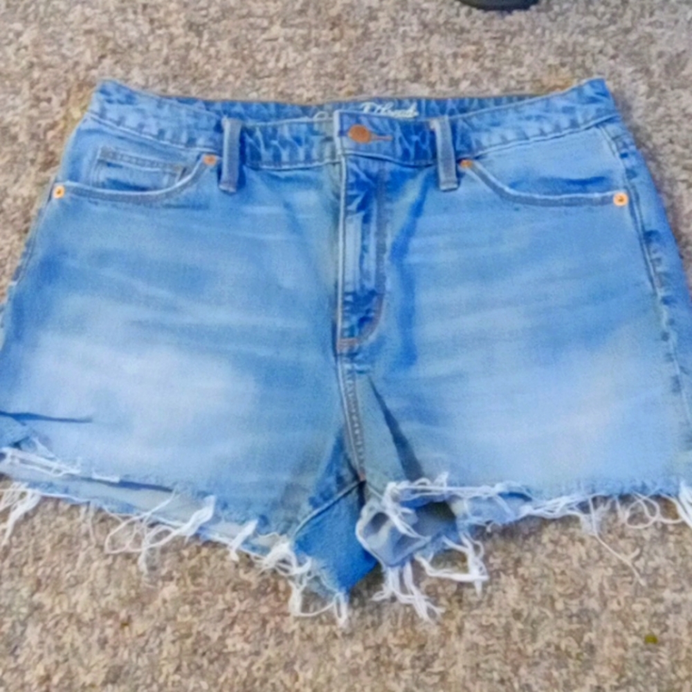 Womens Shorts. Size 10.